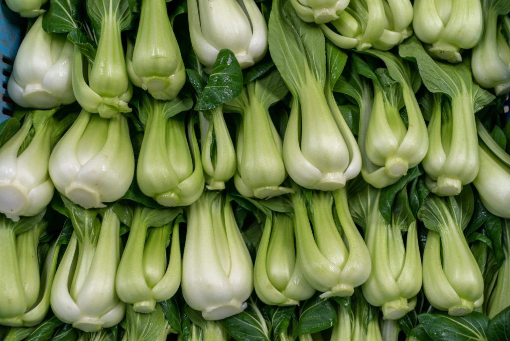 小町ファームページ 336461417_752457936264158_1924